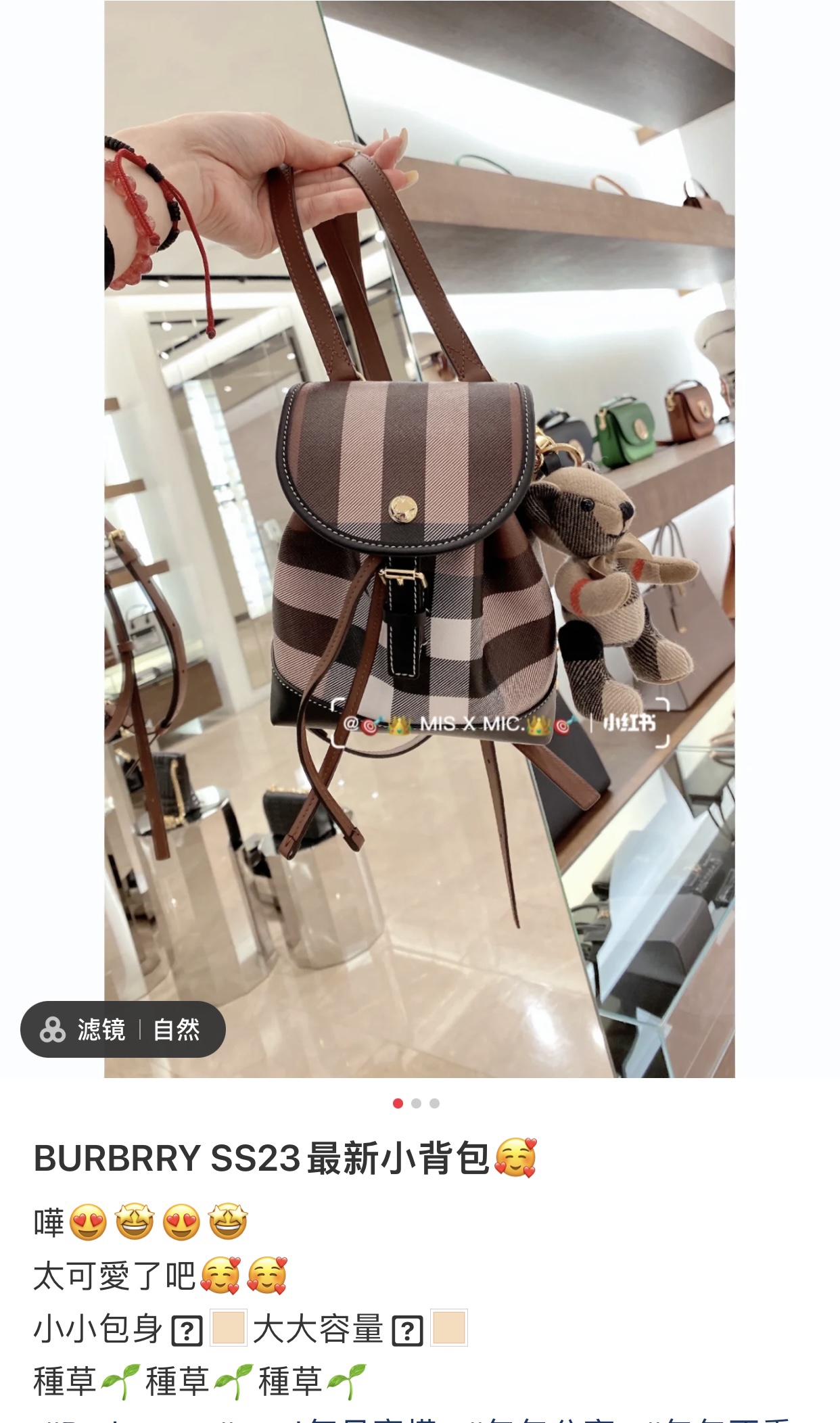 Burberry Bag 0028