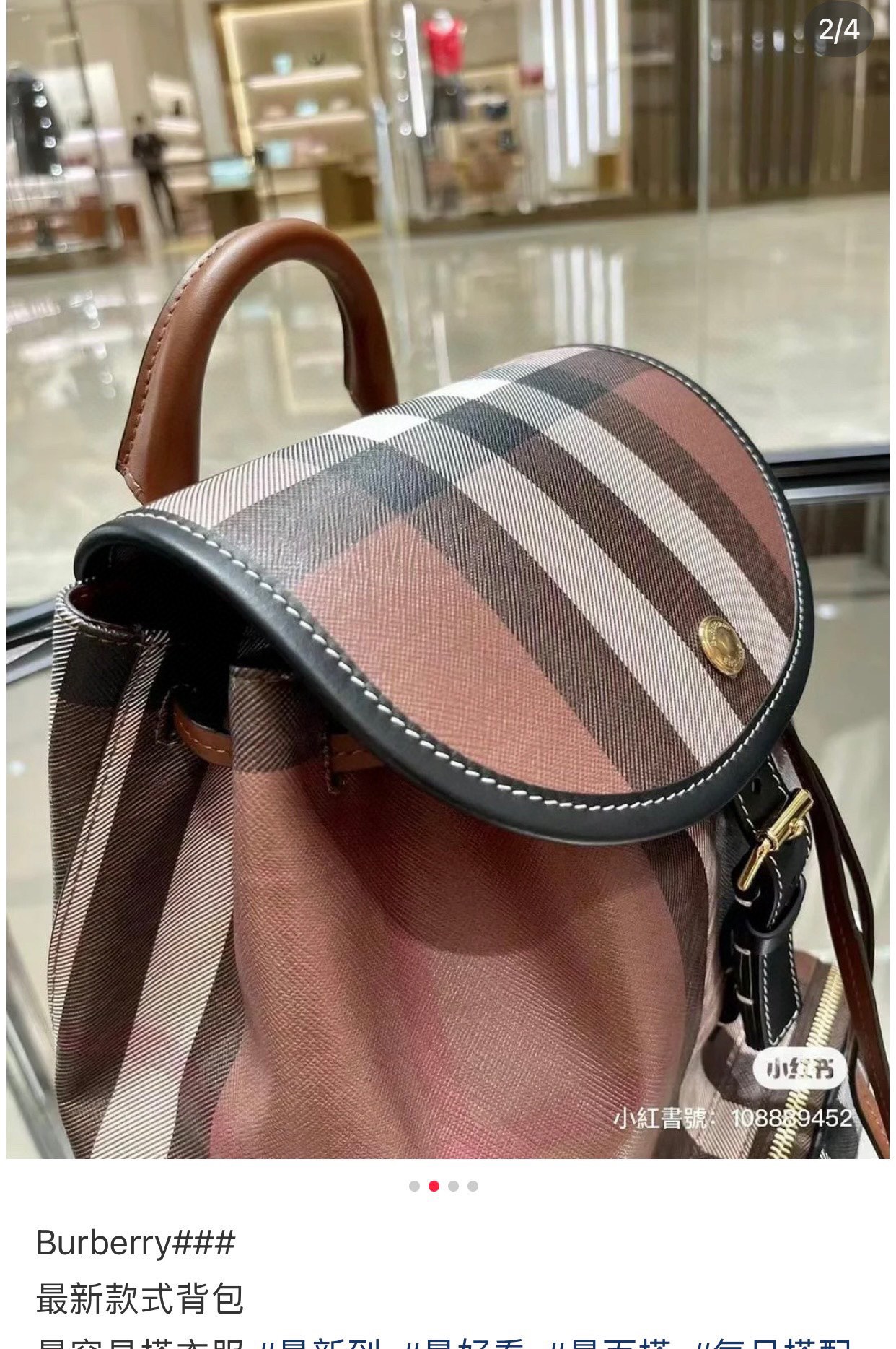 Burberry Brown Bag 0032