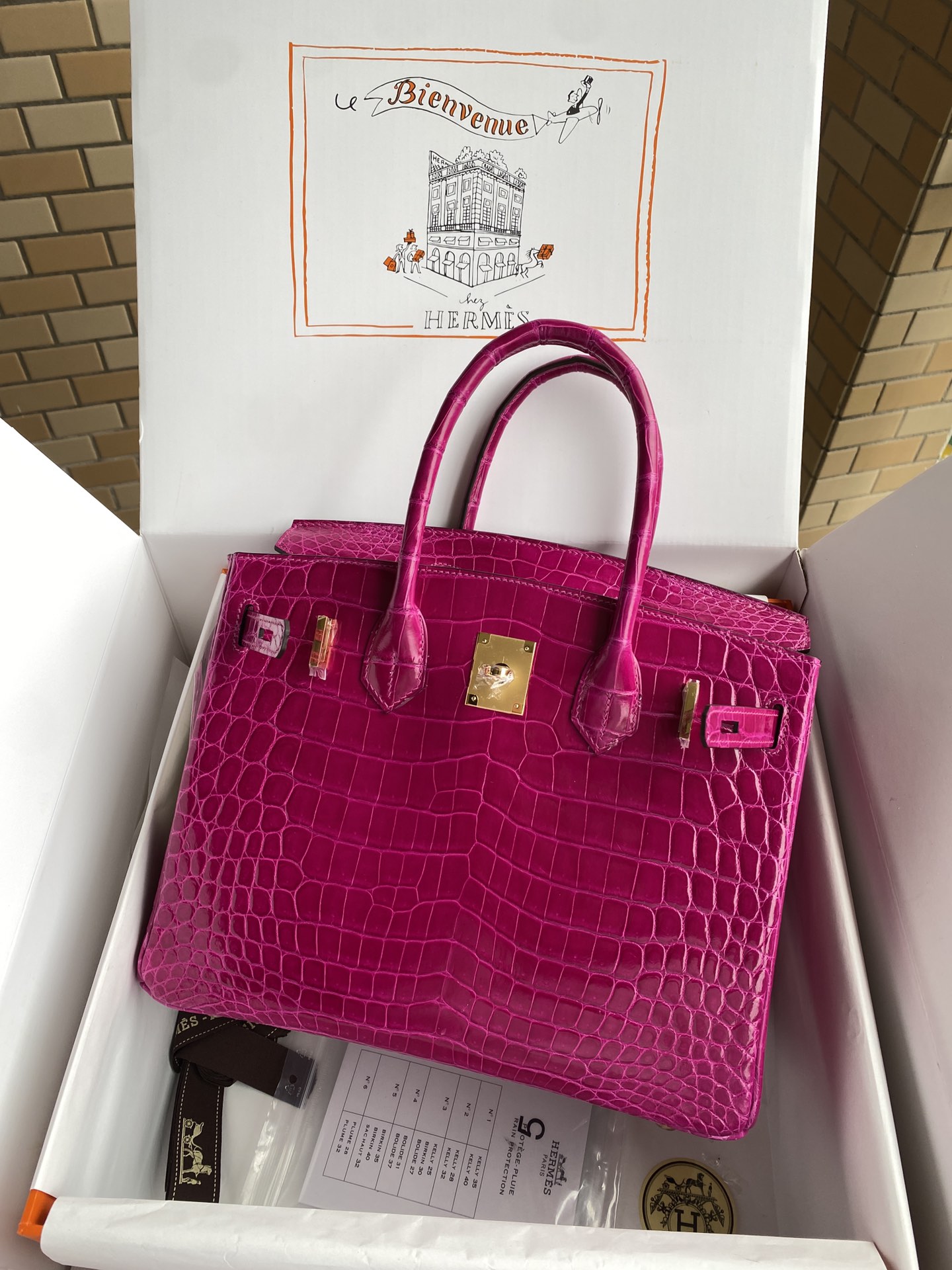 Hermes Birkin Purple