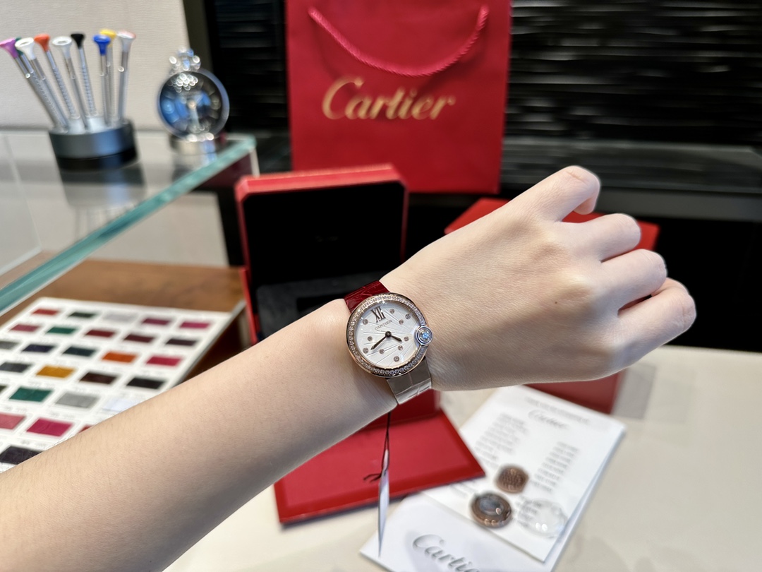 Cartier Diamond Watch 15500