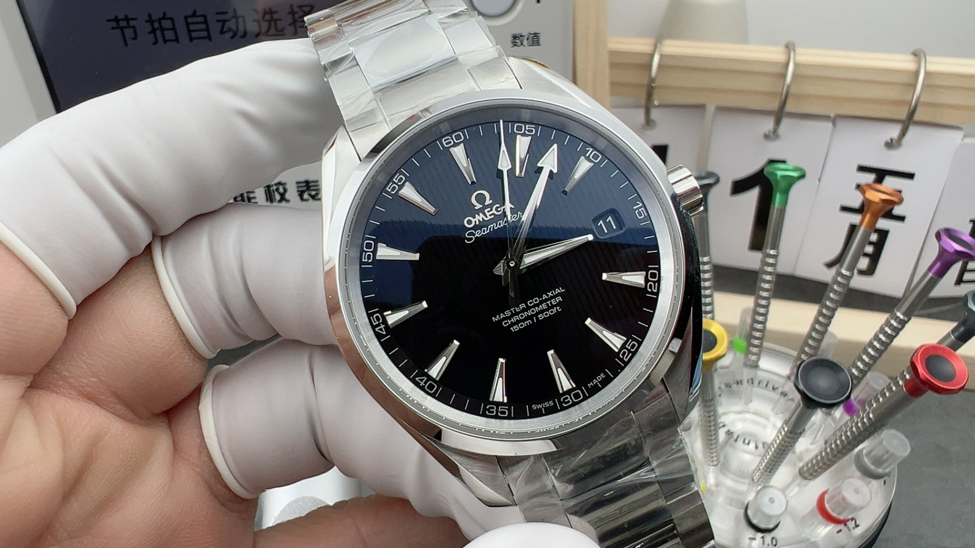 Omega Seamaster VS