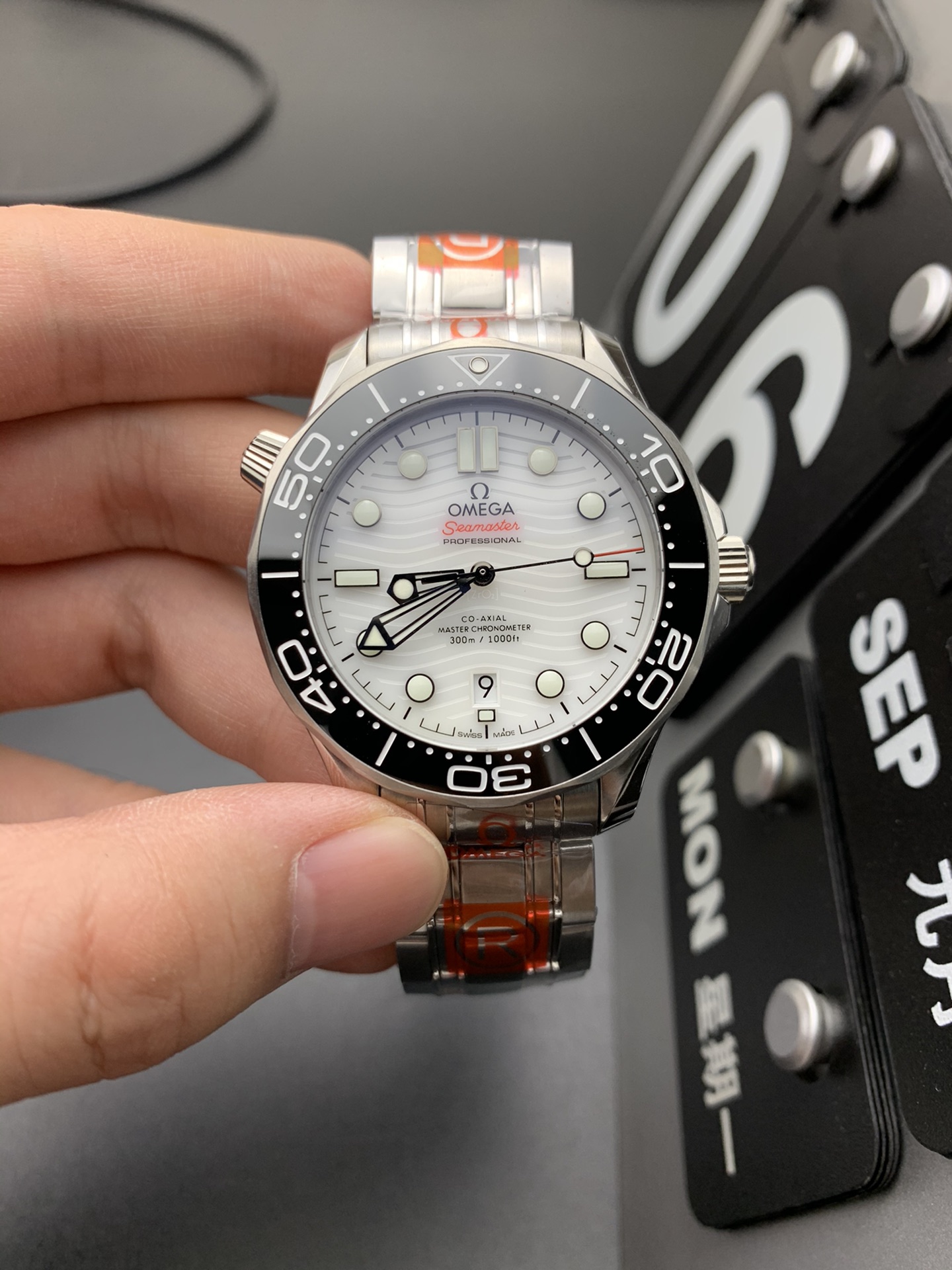 Omega Seamaster Panda Dial
