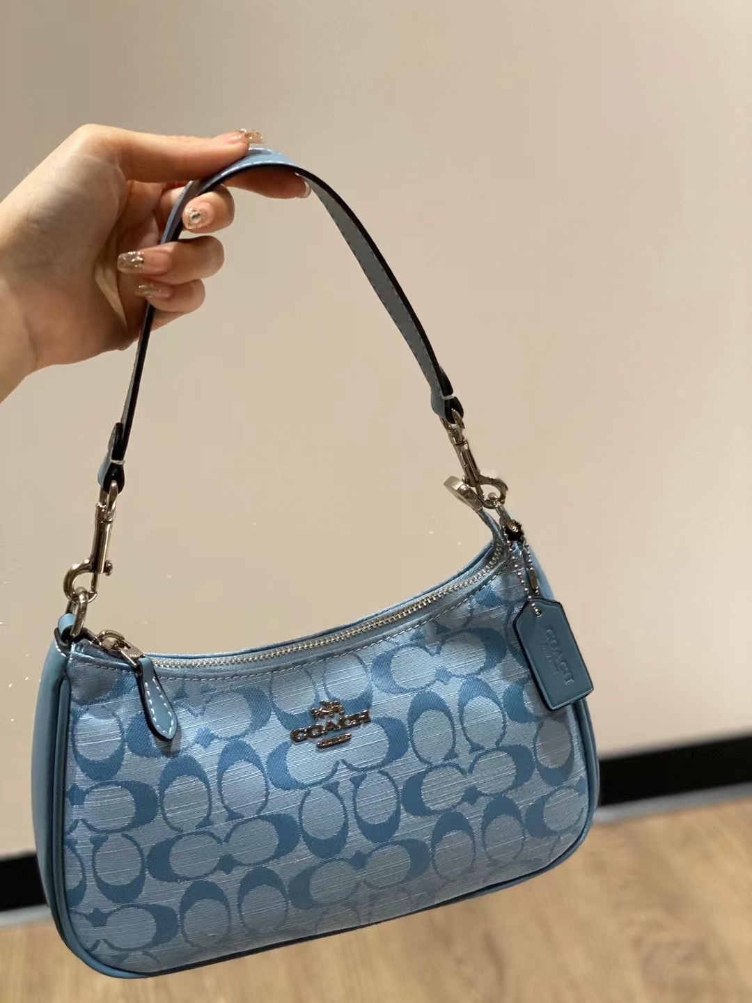 Coach Teri Bag 0036