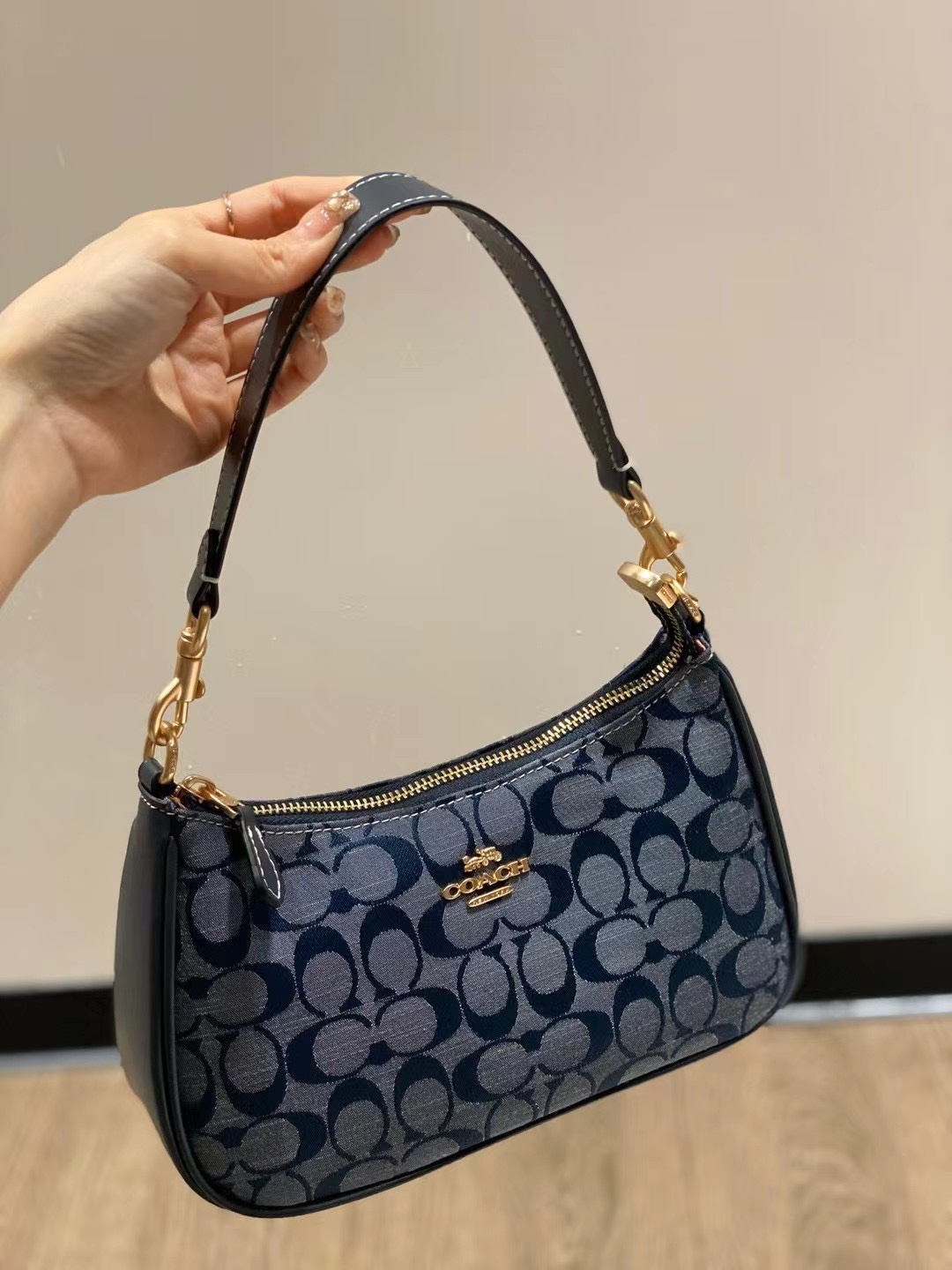 Coach Teri Bag 0037