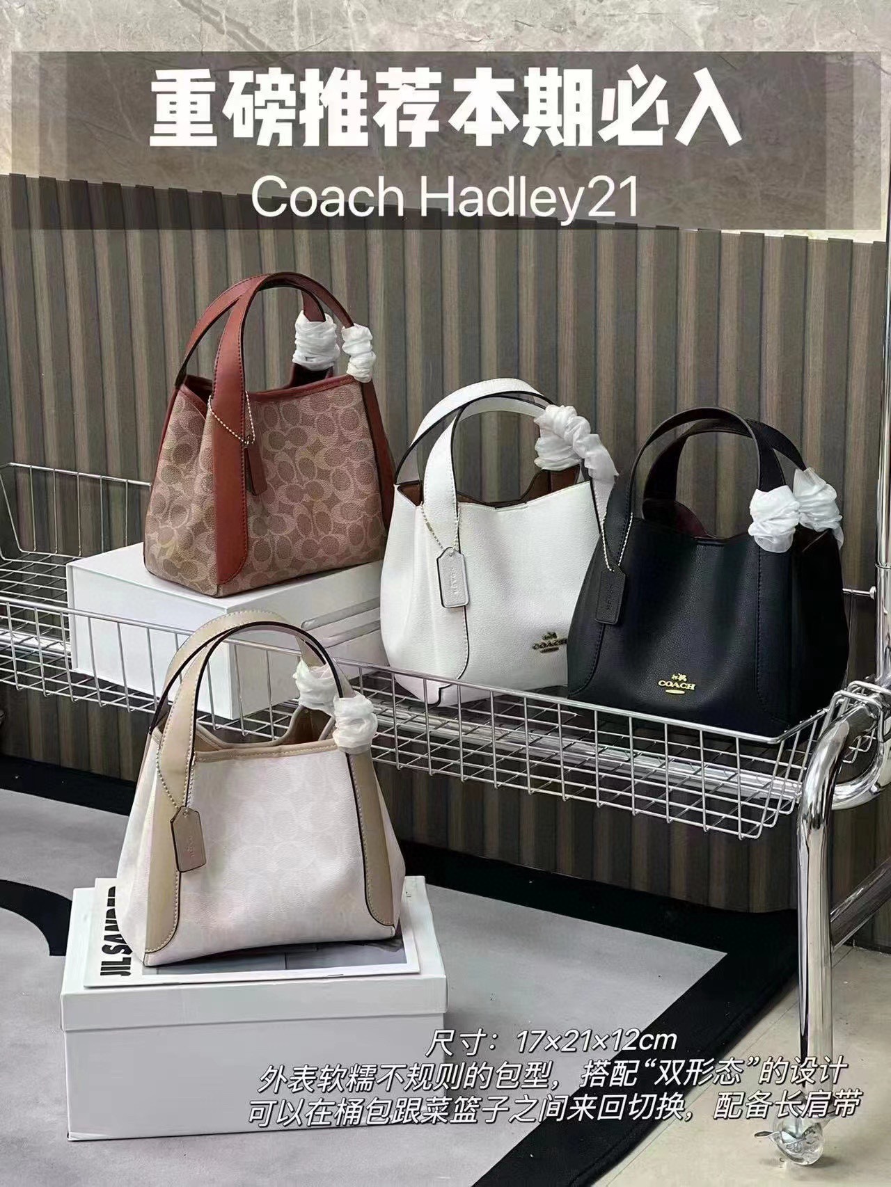 Coach Picotin 78800 23×12×18cm