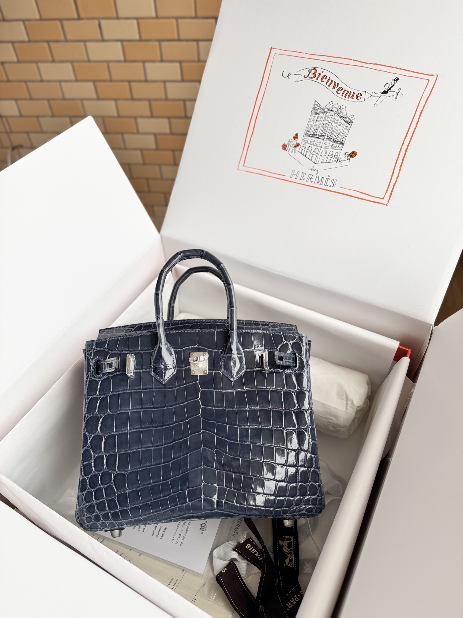 Hermes Birkin Silver