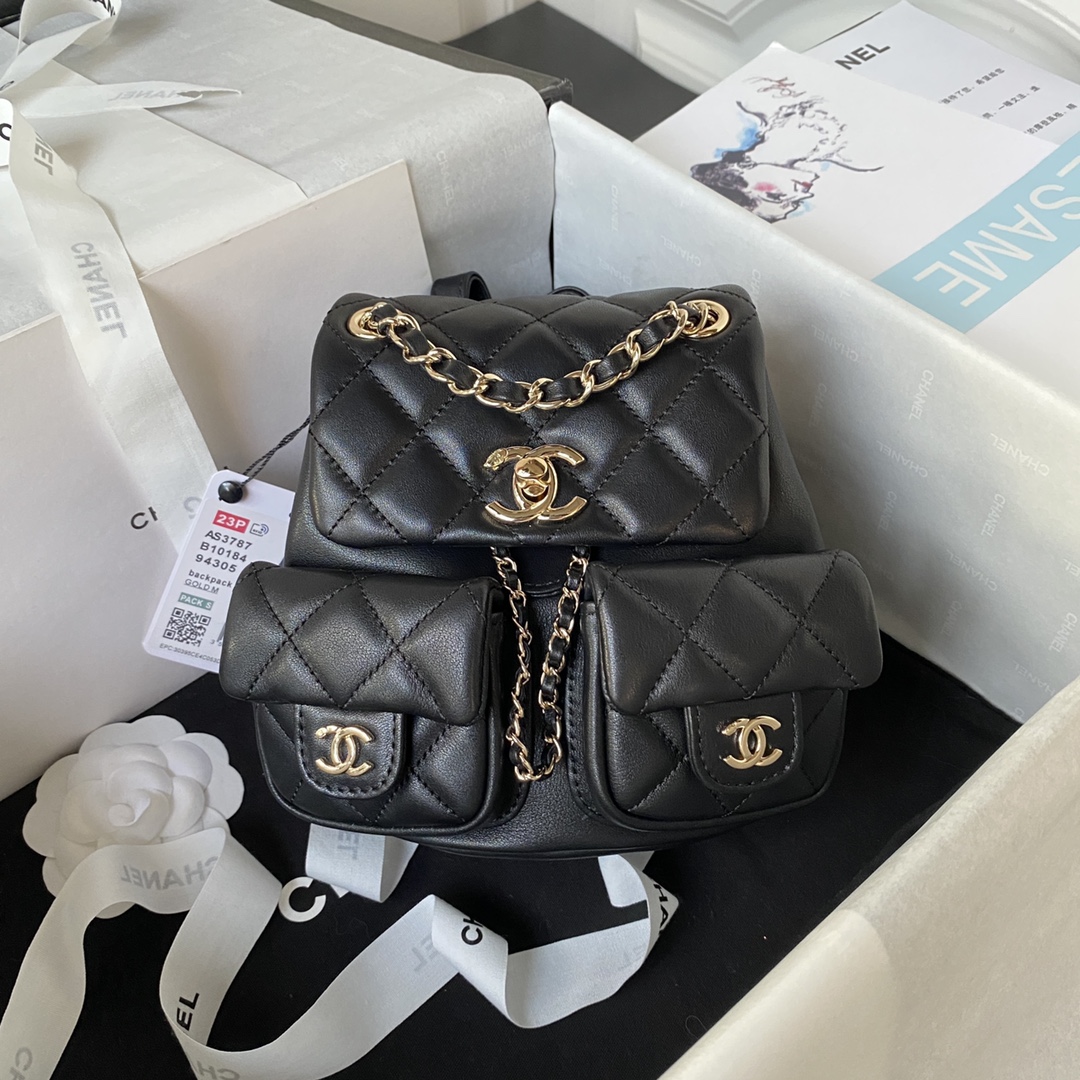 Chanel Gold Bag 0830