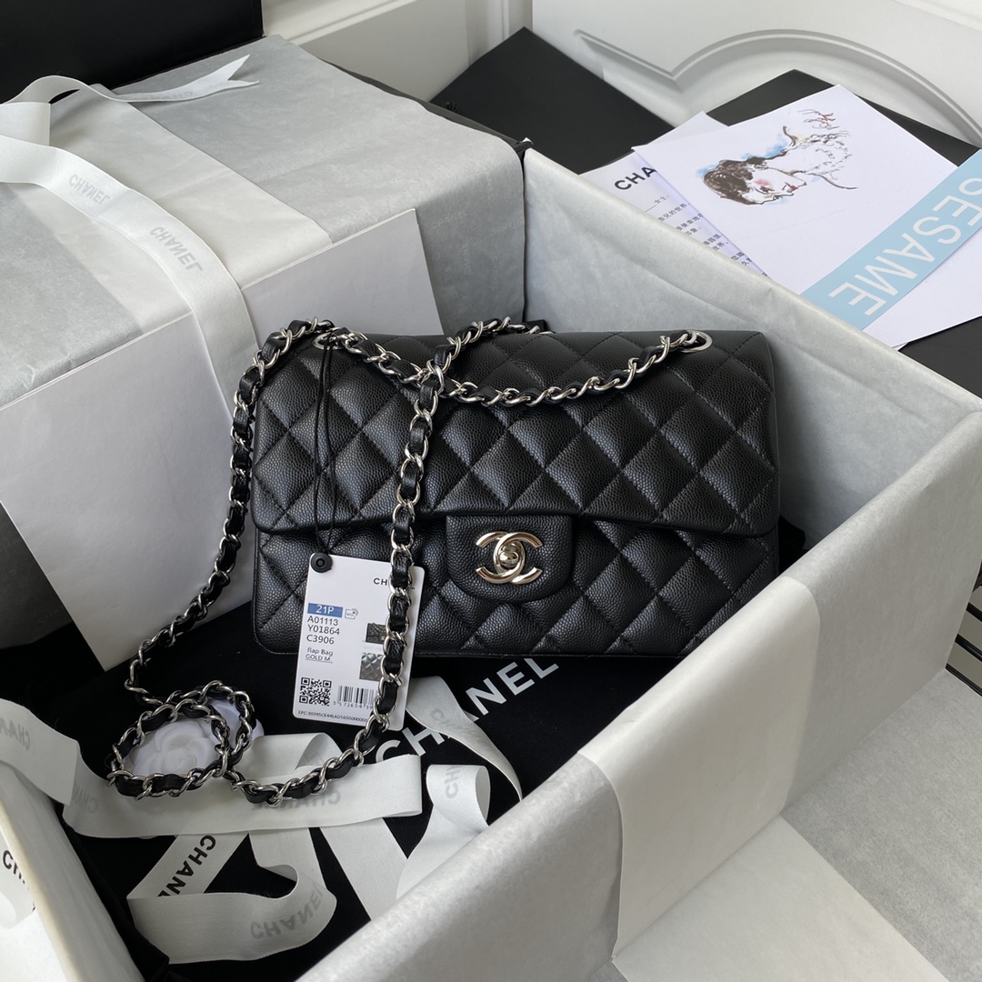 Chanel Classic Flap Bag 0957