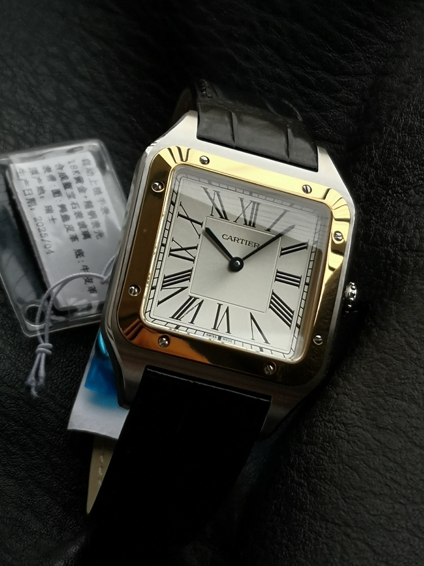 Cartier Santos Blue 2025 31.4mm